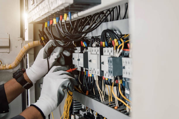 Best Electric Panel Repair  in Lake Nacimiento, CA
